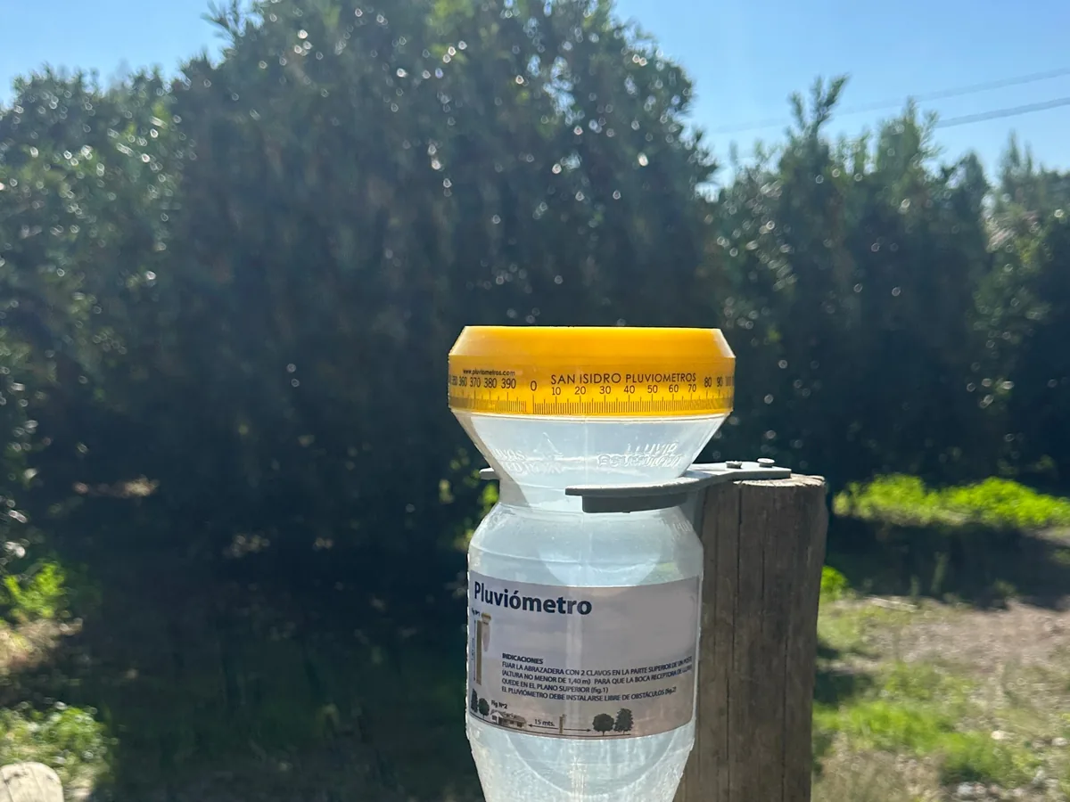 Pluviómetro manual de plástico con borde amarillo fijado a un poste de madera en el predio, bajo cielo despejado.