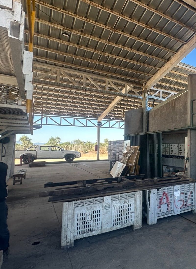 Batería de 12 hornos de deshidratación industriales